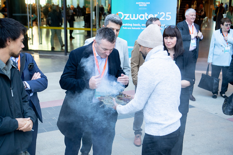 54532050348_fff555c088_c